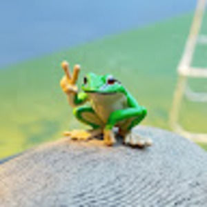 Meet your Posher, Shareen